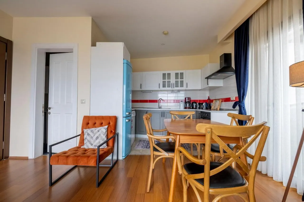 公寓 伊斯坦布尔Stunning Duplex With Sea View公寓